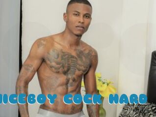 ARON_NICEBOY_COCK_HARD