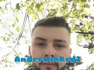 Andrewinked2