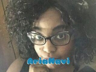 AriaNavi