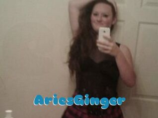 AriesGinger