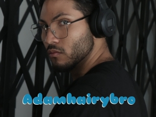Adamhairybro