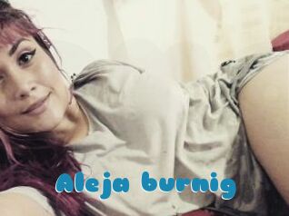Aleja_burnig