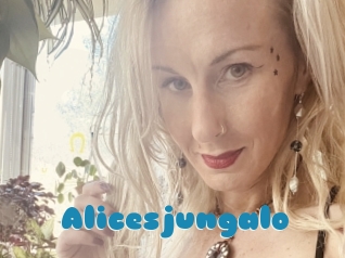 Alicesjungalo