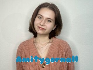 Amitygornall