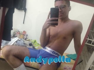 Andypolla