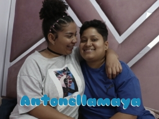 Antonellamaya