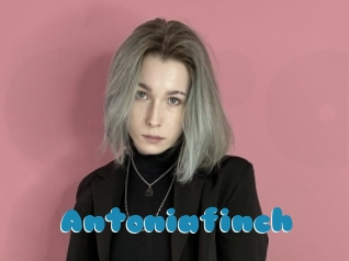 Antoniafinch