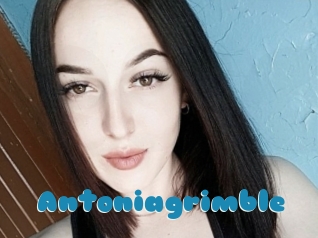 Antoniagrimble