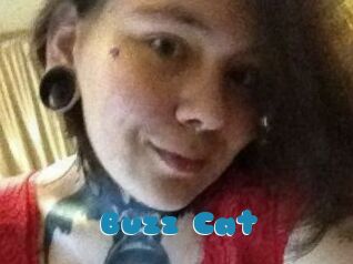 Buzz_Cat