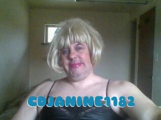 CDJANINE1182