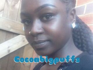 Cocoabigpuffs