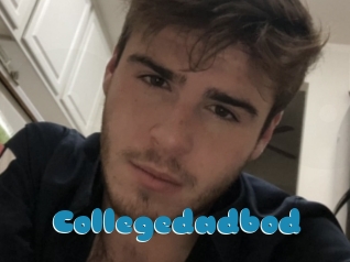 Collegedadbod