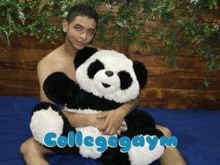 Collegegaym