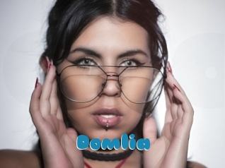 Domlia