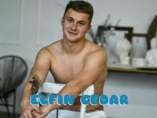 ELFIN_CEDAR
