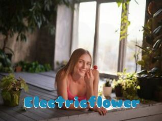 Electricflower