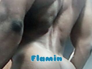 Flamin