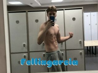 Fellixgarcia
