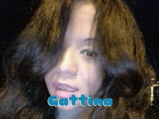 Gattina