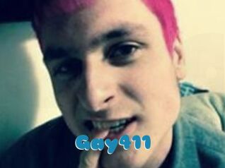 Gay411