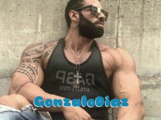 GonzaloDiaz