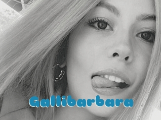 Gallibarbara