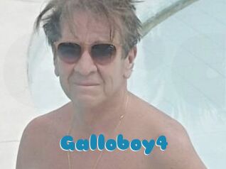Galloboy4