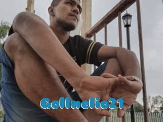 Gollnelio21
