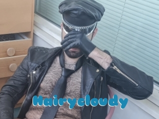 Hairycloudy