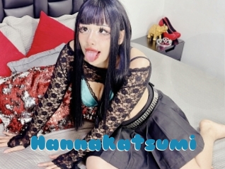 Hannakatsumi