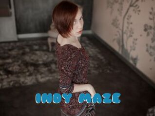 INDY_MAZE