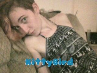 KittyBird