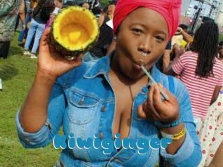 Kiwiginger