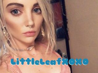 LittleLeafXOXO