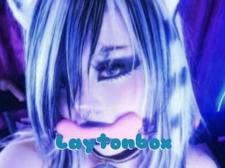 Laytonbox