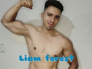 Liam_forest