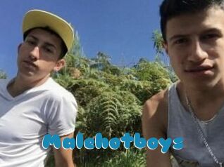 Malehotboys