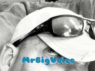 MrBigVoice