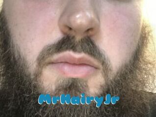 MrHairyJr