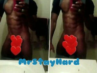 MrStayHard