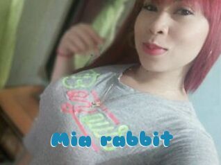 Mia_rabbit