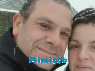 Mimiseb