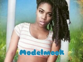 Modelmook