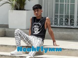NoahFlymm