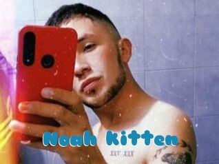 Noah_kitten