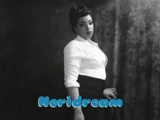 noridream Erotik Chat
