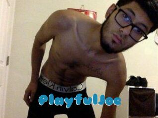 PlayfulJoe