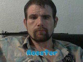 Rocster