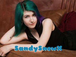 SandySnowX