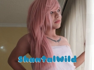 ShantalWild Erotik Chat